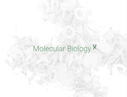 NZYTech Molecular Biology_new.png